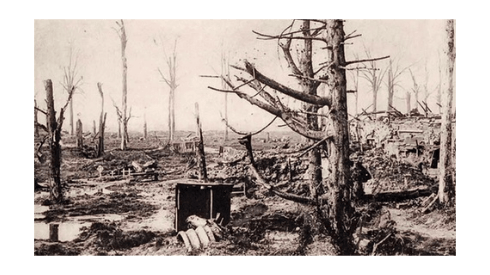 Bois de Boesinghe 1914-1918