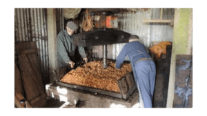Le jus de la pomme