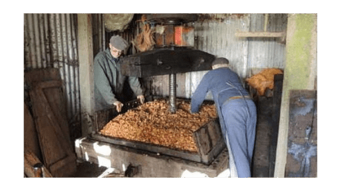 Le jus de la pomme