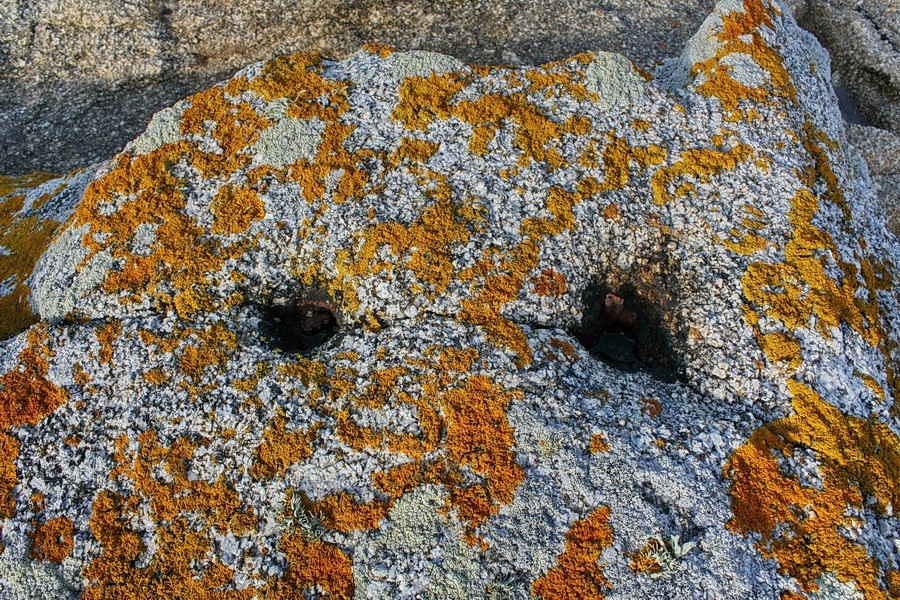 Taille abandonnée à la pointe de Trévignon