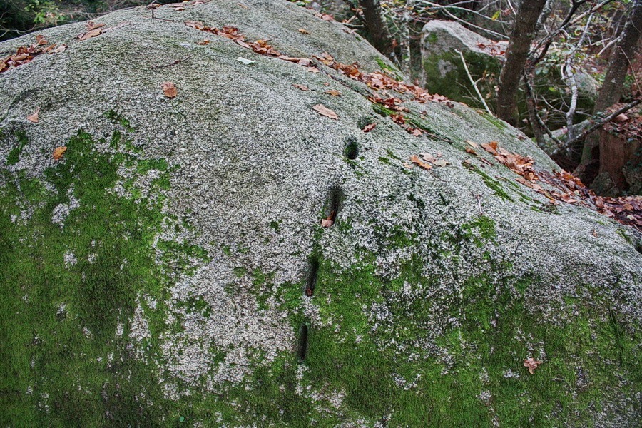 Traces laissées par les fendeurs de pierre, chantier abandonné.