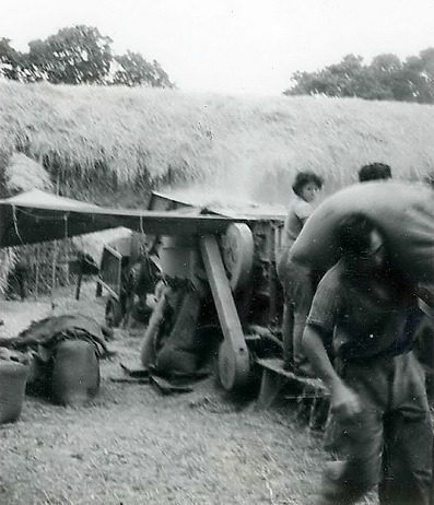 Une batteuse Braud en action à Kerlosquen