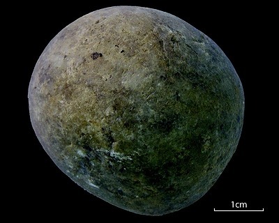 Percuteur pour fabriquer des outils