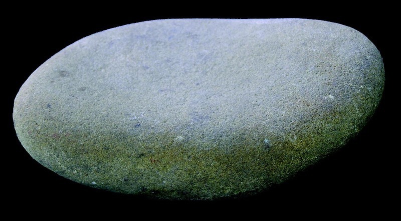 Meule pour broyer les aliments