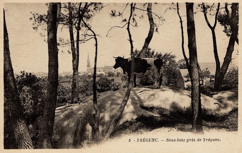 Du côté de Roz an Gall