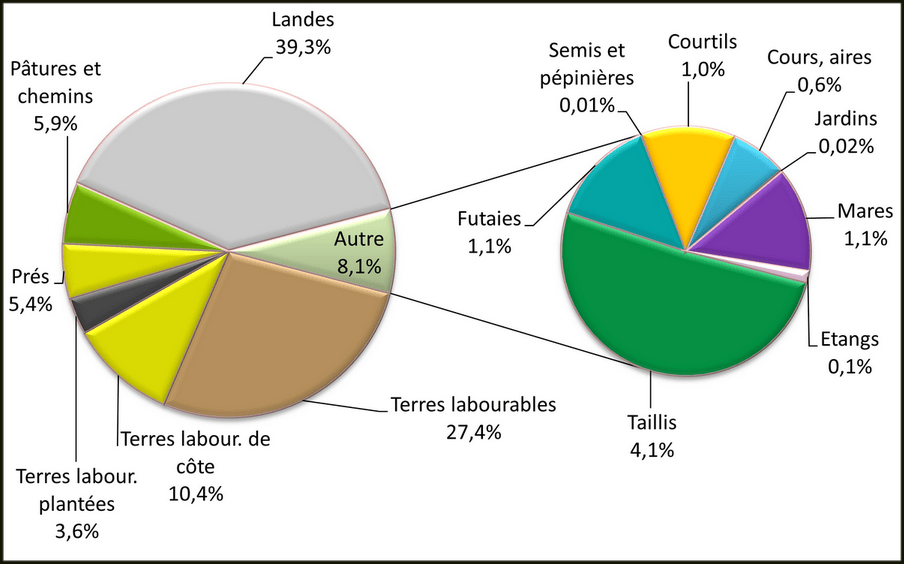 En 1845, les landes occupent 39,3 % du territoire communal,
en 37 ans la part des terres labourables passe de 38,3 à 41,4 %