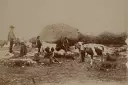 03-Men-Dogan